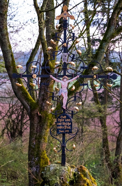 树 自然 木头 - 上的免费照片