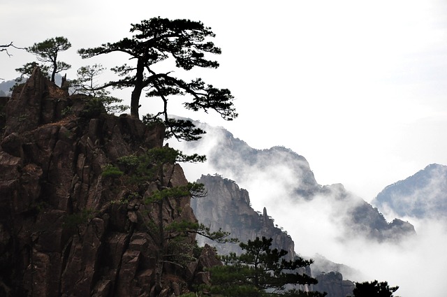 大自然 山 景观 - 上的免费照片