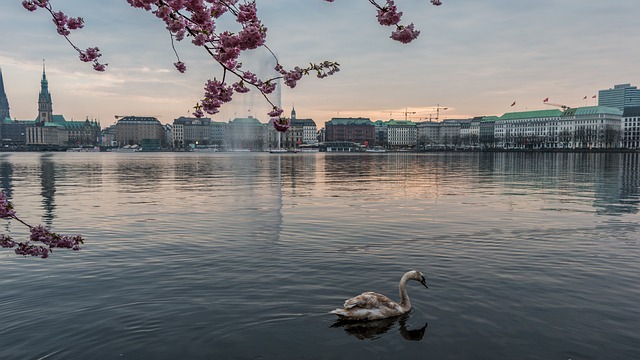 水域 天堂 自然 - 上的免费照片