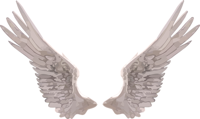 翅膀 天使 - 免费矢量图形