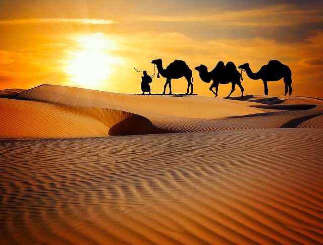 大篷车 沙漠 苹果浏览器 - 上的免费照片