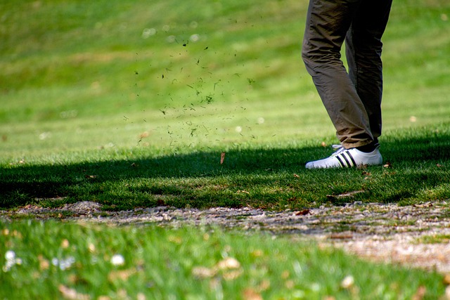 高尔夫球 运动 闲暇 - 上的免费照片