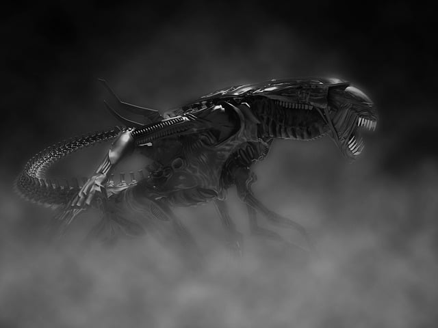 昆虫 自然 野生动物 - 上的免费图片