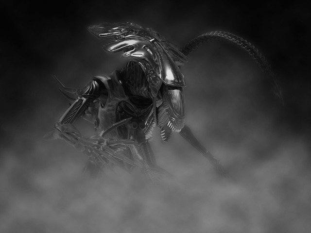 昆虫 黑色和白色的摄影 Evertebrat - 上的免费图片