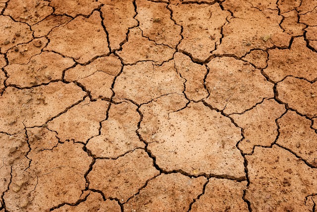 地球 干旱 地面 - 上的免费照片
