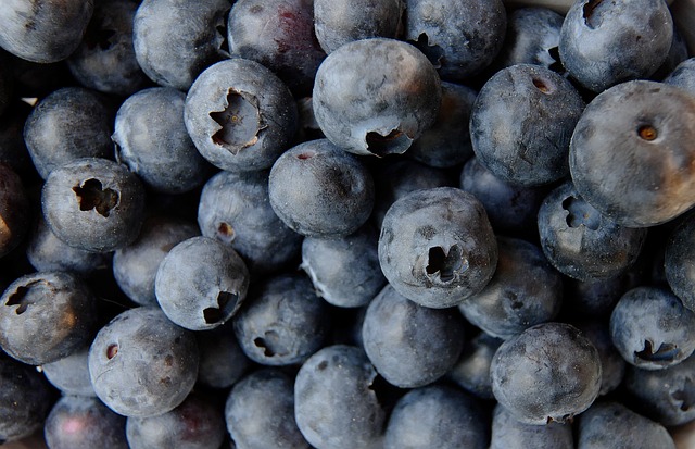 蓝莓 食物 水果 - 上的免费照片