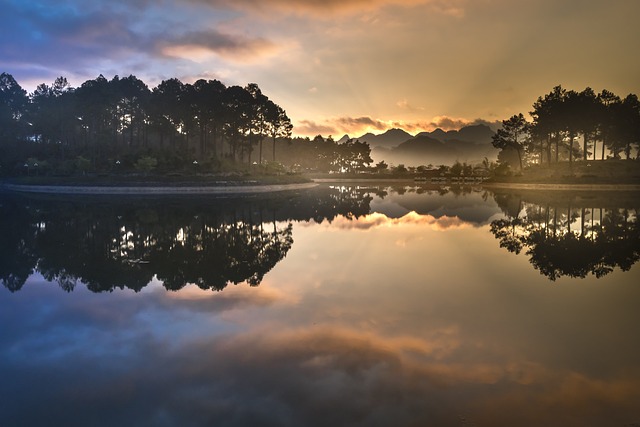 Soi球 湖 松树林 - 上的免费照片