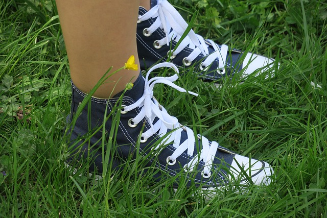 交谈 Chuck Taylor 蓝色的 - 上的免费照片