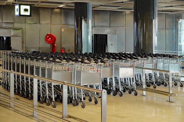 行李车 球童 飞机场 - 上的免费照片