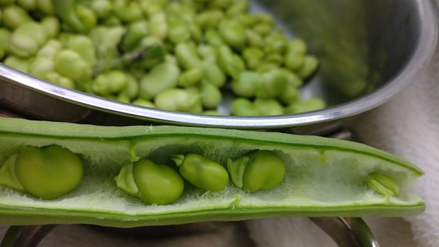 豆类 食品 蔬菜 - 上的免费照片