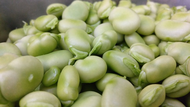 蔬菜 食品 哈巴 - 上的免费照片