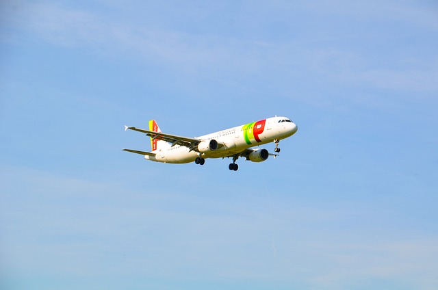 飞机 喷射 轻敲 - 上的免费照片