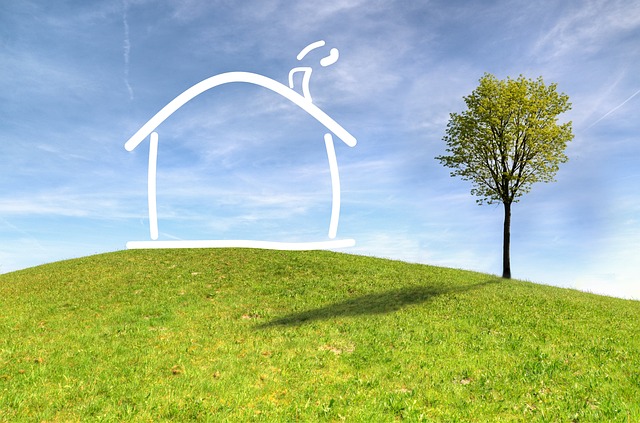 草 自然 天空 - 上的免费照片