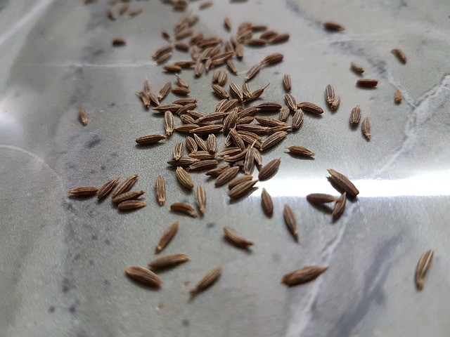 小茴香子 香料 - 上的免费照片