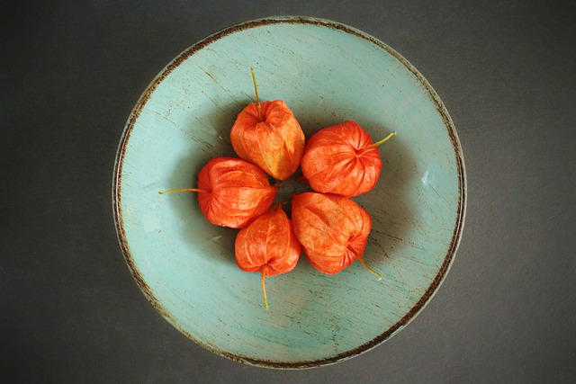 酸浆 Physalis 植物 - 上的免费照片