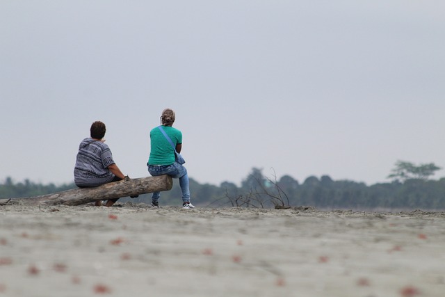 人民 海滩 海 - 上的免费照片
