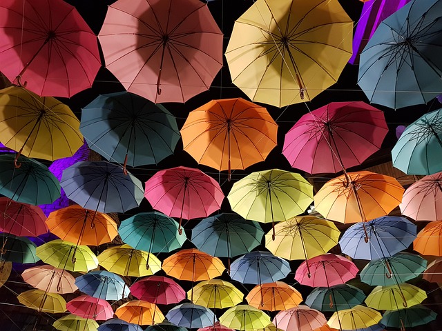 雨伞 图案 非 - 上的免费照片
