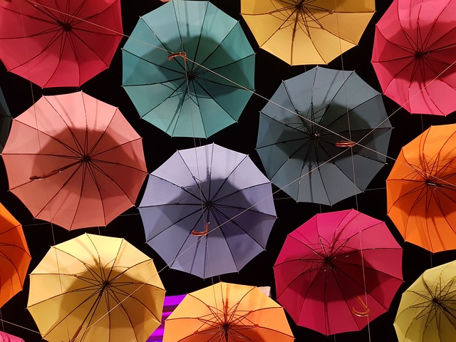 雨伞 图案 非 - 上的免费照片