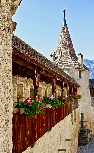 围城战 阳台 花朵 - 上的免费照片