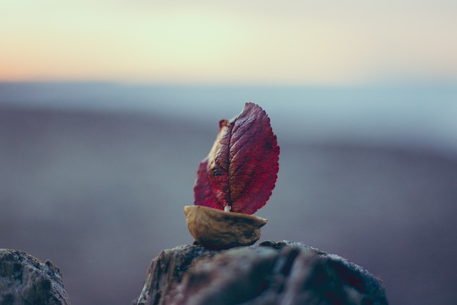 Korablik 海 日落 - 上的免费照片