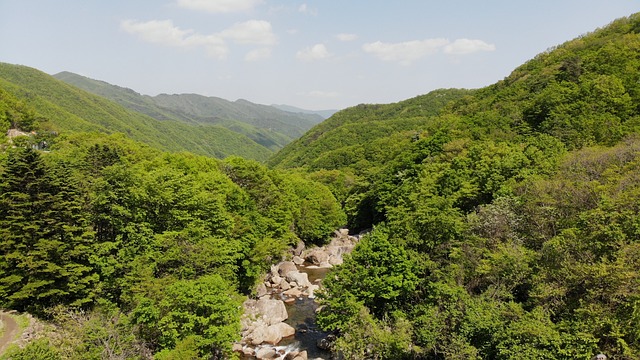 大自然 谷 智异山 - 上的免费照片