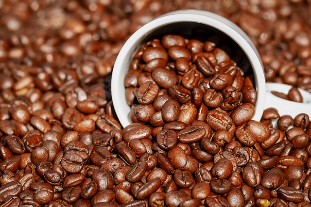 咖啡 豆类 种子 - 上的免费照片