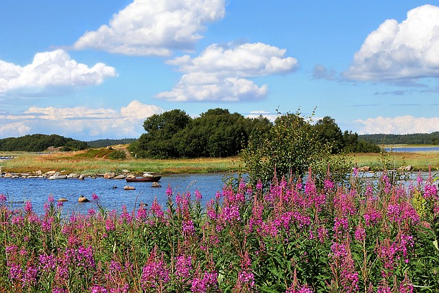 景观 自然 夏天 - 上的免费照片