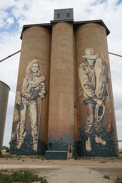 小麦储仓 艺术 国家维多利亚 - 上的免费照片