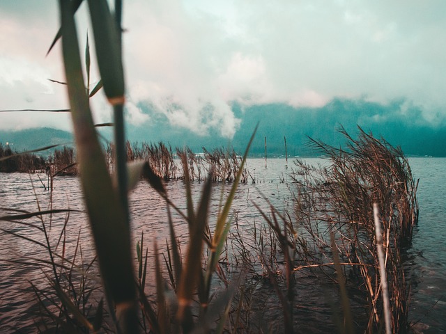 贝杜古尔 巴厘岛 印度尼西亚 - 上的免费照片