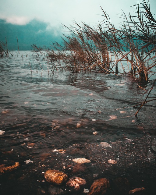 贝杜古尔 巴厘岛 印度尼西亚 - 上的免费照片