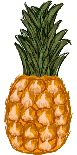 菠萝 手绘 热带水果 - 免费矢量图形