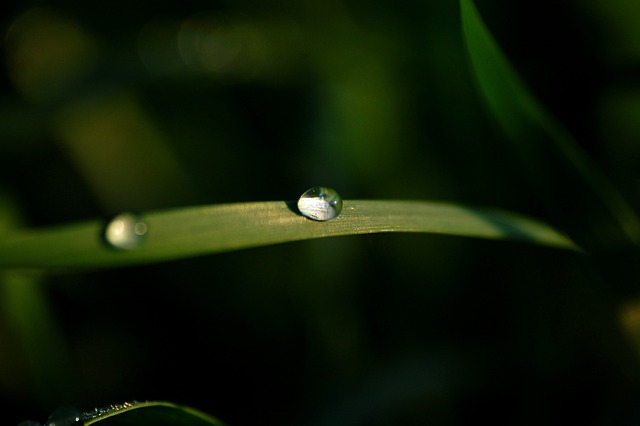 水 拖放 滴 - 上的免费照片