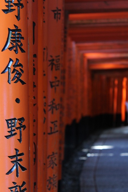 伏 京都 伏见稻荷 - 上的免费照片