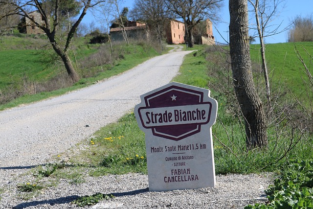 Strade Bianchi 法比安Cancellara 锡耶纳 - 上的免费照片