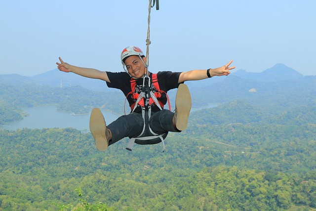 飞狐 高的 - 上的免费照片