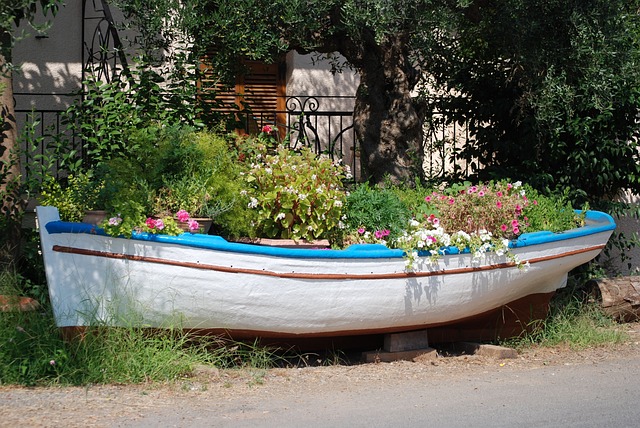 船 花朵 盆 - 上的免费照片