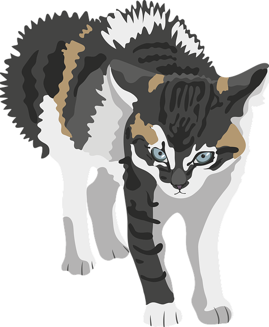 猫 嘶 - 免费矢量图形