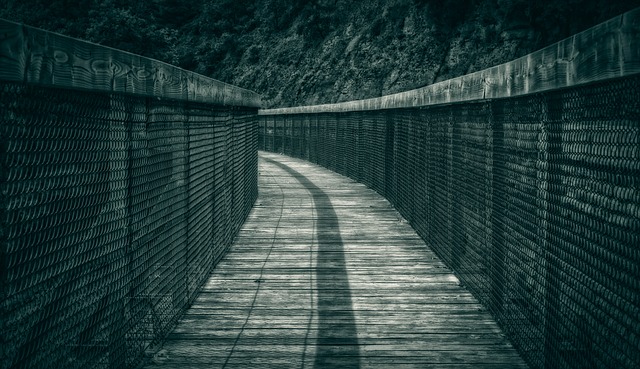 小路 网络 夜晚 - 上的免费照片