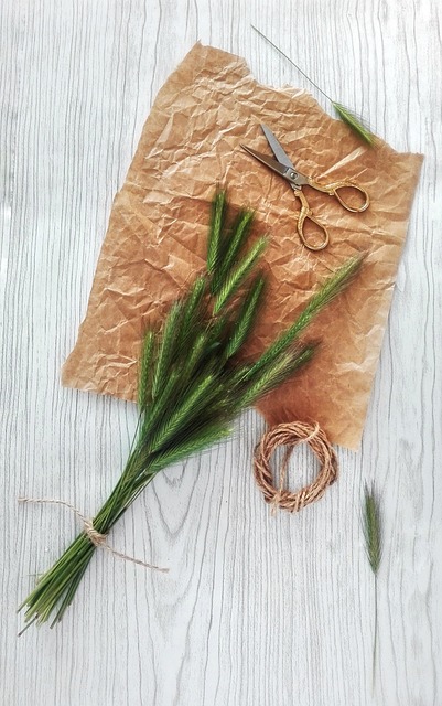 花束 玉米穗 村 - 上的免费照片