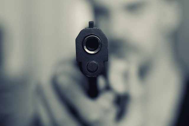 手枪 欺诈罪 武器 - 上的免费照片