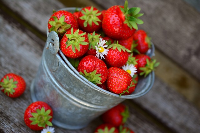 草莓 水果 浆果 - 上的免费照片