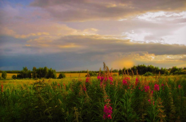 夏天 天空 丰富多彩 - 上的免费照片