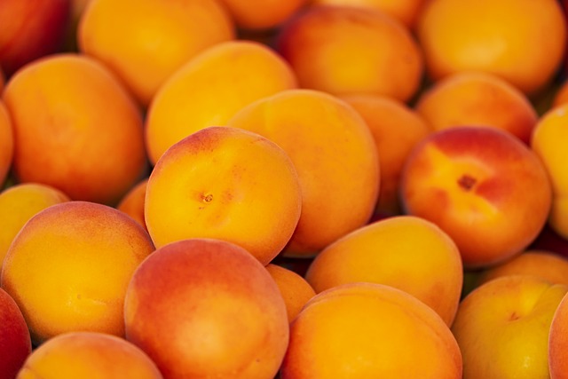 杏子 水果 食物 - 上的免费照片