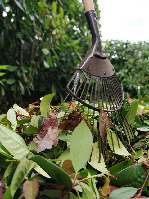 树篱 床单 瑞克 - 上的免费照片