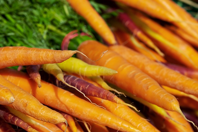 萝卜 蔬菜 生产 - 上的免费照片