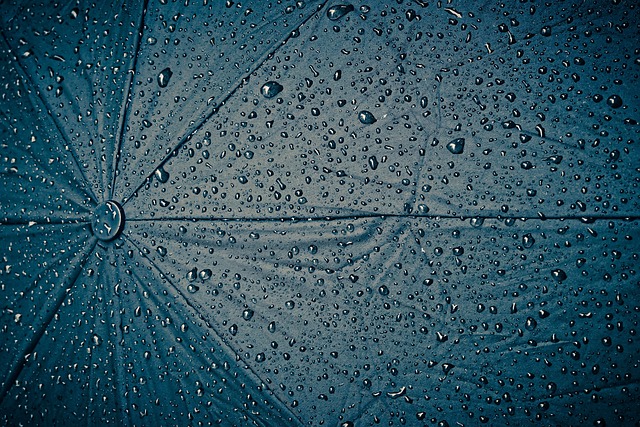 下雨天 雨伞 阴雨天气 - 上的免费照片