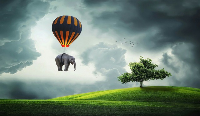 大象 气球 飞 - 上的免费照片