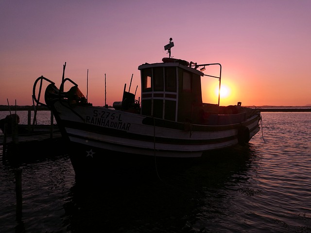 葡萄牙 阿连特茹 埃武拉 - 上的免费照片