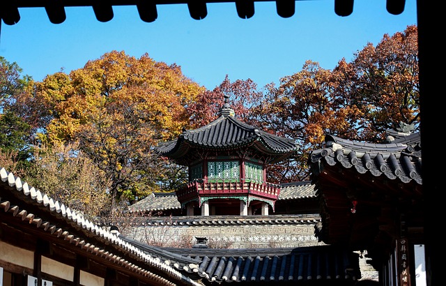 窗景 紫禁城 大韩民国 - 上的免费照片