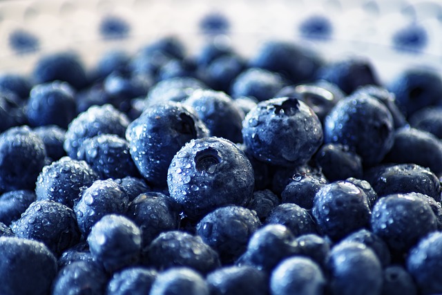 蓝莓 水果 健康 - 上的免费照片